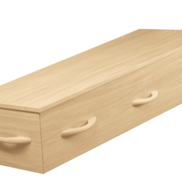 Cercueil Écologique